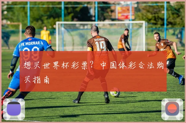 想买世界杯彩票?中国体彩合法购买指南