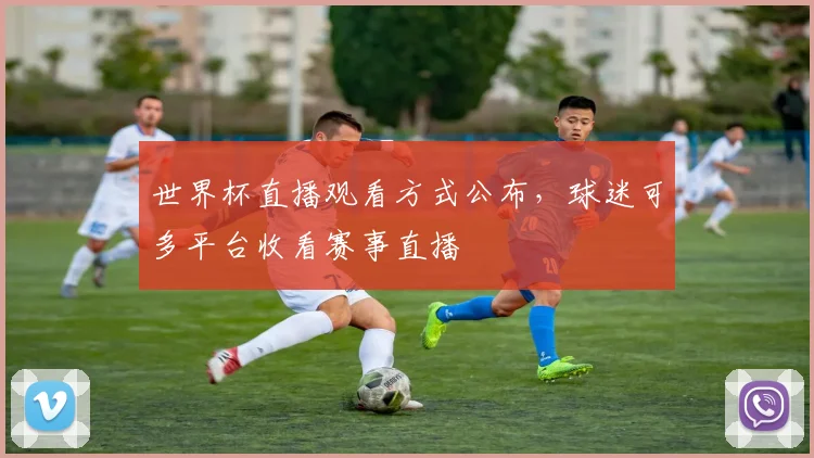 世界杯直播观看方式公布，球迷可多平台收看赛事直播