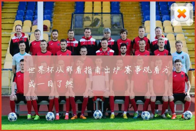 世界杯从那看指南出炉 赛事观看方式一目了然