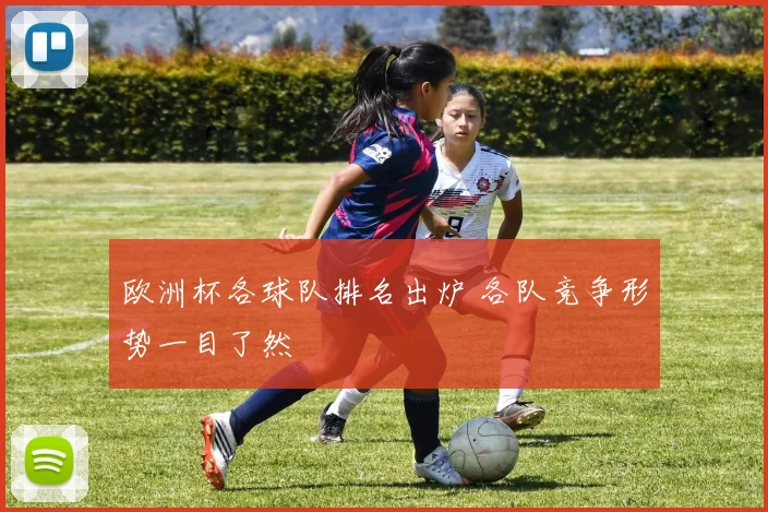 欧洲杯各球队排名出炉 各队竞争形势一目了然