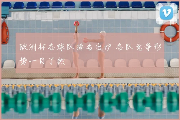 欧洲杯各球队排名出炉 各队竞争形势一目了然