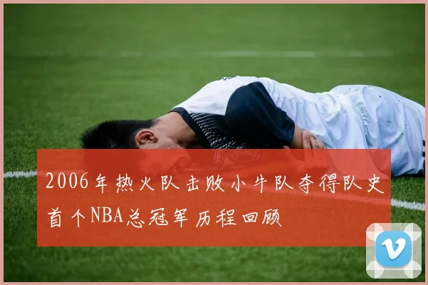 2006年热火队击败小牛队夺得队史首个NBA总冠军历程回顾